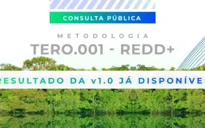 A versão 1.0 da Metodologia TERO.001 – REDD+ foi concluída e já encontra-se disponível