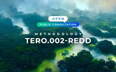 Public Consultation of the TERO.002 – REDD Methodology is open