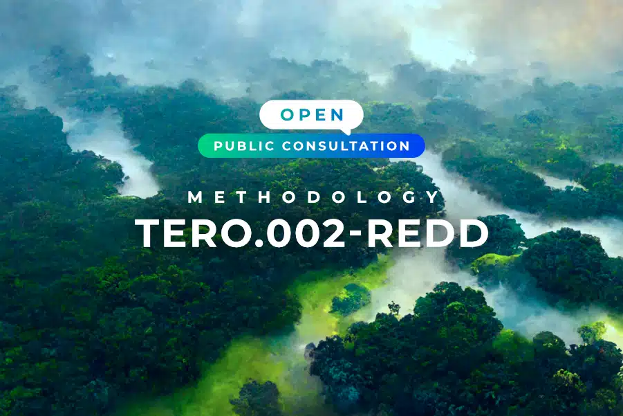 Public Consultation of the TERO.002 – REDD Methodology is open