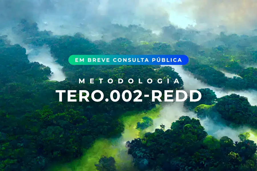 Consulta Pública da Metodologia TERO.002 – REDD será lançada em breve