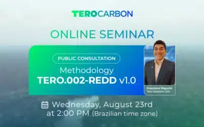 Online seminar on the TERO.002 – REDD Methodology