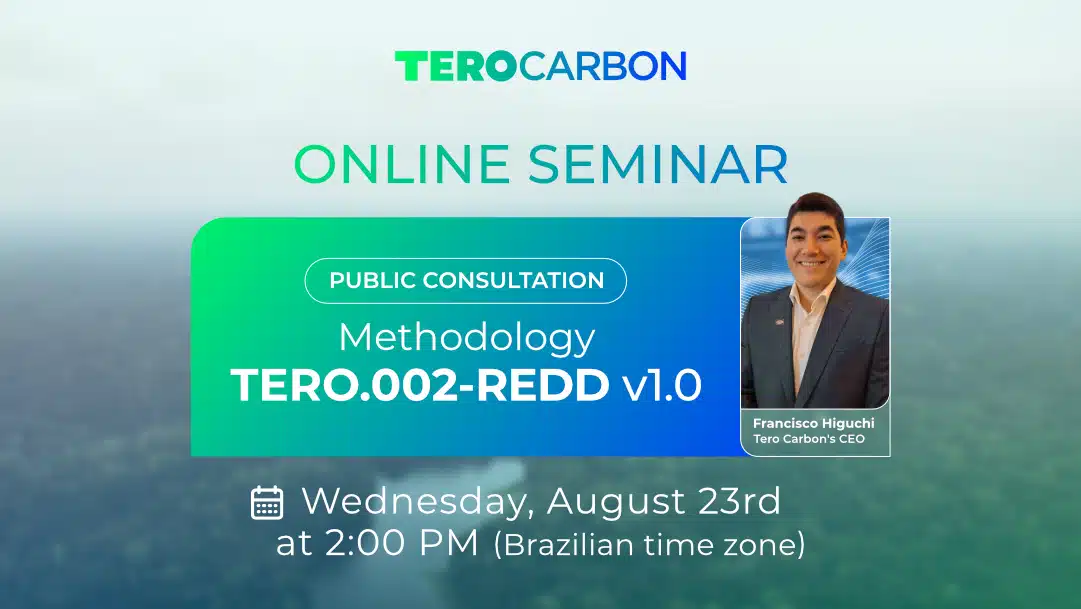 Online seminar on the TERO.002 – REDD Methodology