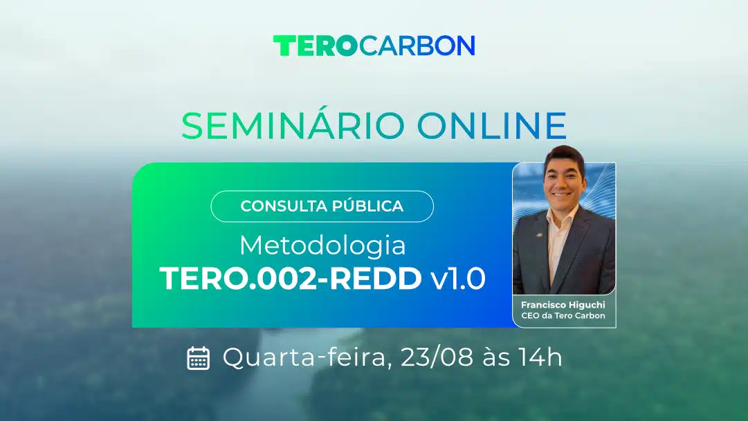 Seminário on-line da Metodologia TERO.002 – REDD