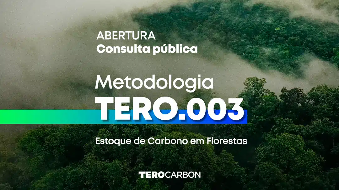 Consulta Pública da Metodologia TERO.003 – Estoque de Carbono em Florestas está aberta