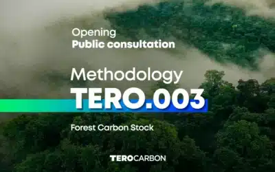 Public Consultation of the Methodology TERO.003 – Carbon Stock in Forests is open