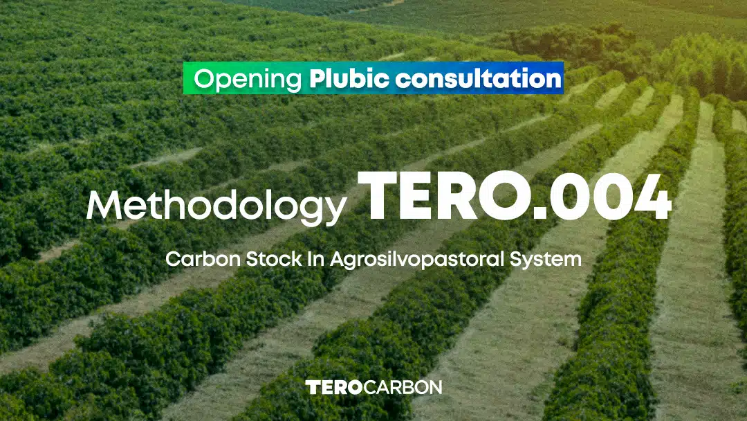 Public Consultation on the Methodology TERO.004 – Carbon Stock in Agrosilvopastoral System is open