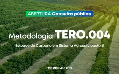 Consulta Pública da Metodologia TERO.004 – Estoque de Carbono em Sistema Agrossilvipastoril está aberta