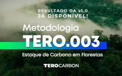 Lançada Metodologia TERO.003 – Estoque de Carbono em Florestas Versão 1.0