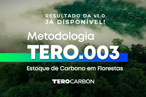 Lançada Metodologia TERO.003 – Estoque de Carbono em Florestas Versão 1.0