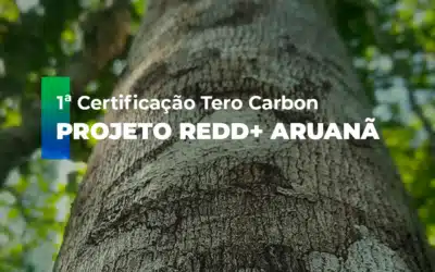 Primeira Certificação Tero Carbon