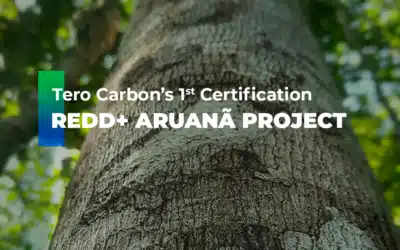 First Tero Carbon Certification