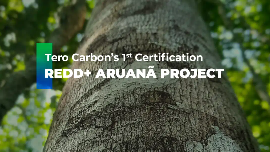 First Tero Carbon Certification