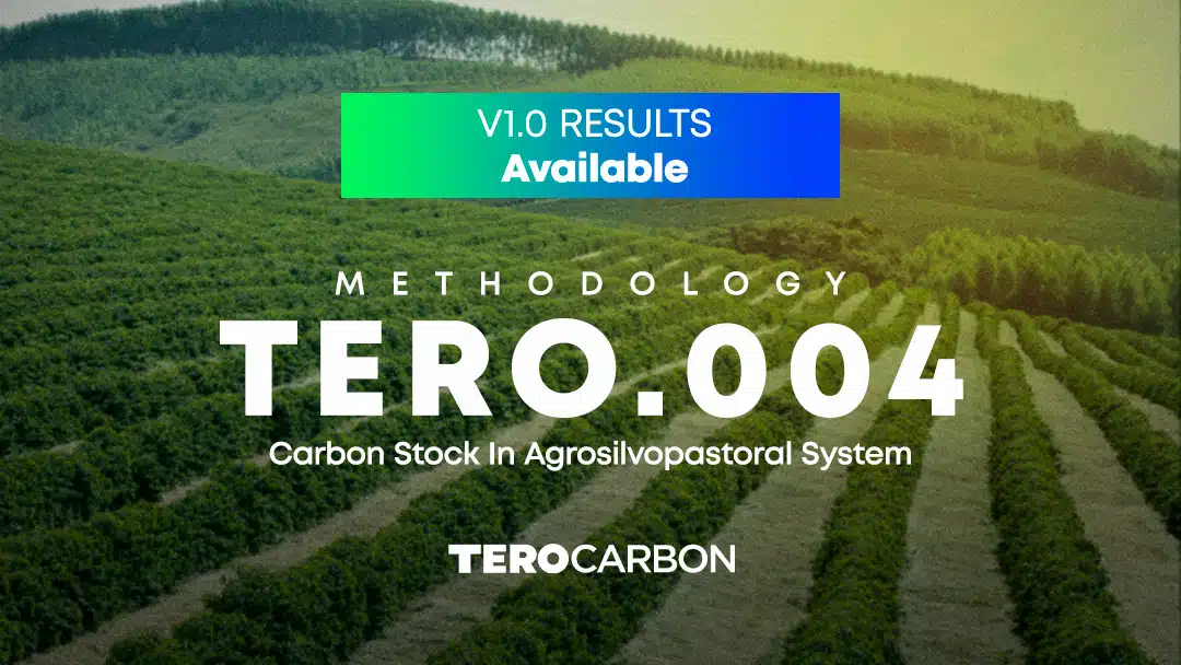 Launched the Methodology TERO.004 – Carbon Stock in Agrosilvopastoral System Version 1.0