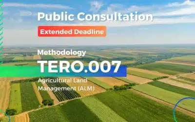Public Consultation for the TERO.007 – ALM Methodology Extended for 30 Additional Days Due to COP 30